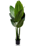 IvoQ Strelitzia Kunstplant 120 cm-IvoQ