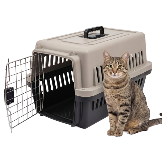 IvoQ Transportbox Katze M – 58x37x36 cm – Creme/Anthrazit
