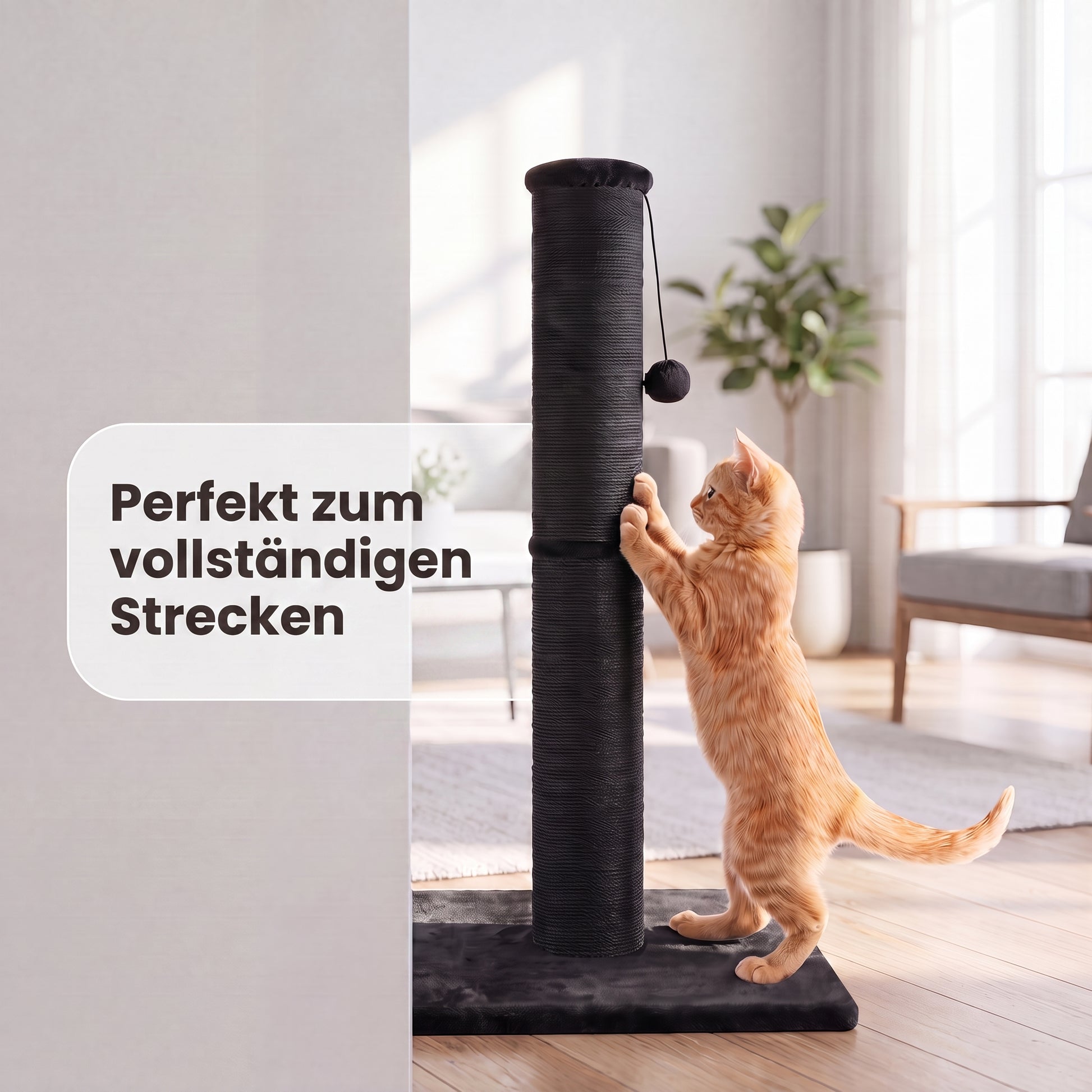 IvoQ Kratzbaum für Katzen - 90 cm - Schwarz - Stabiler Katzenkratzbaum mit Spielball & Sisal - 90x40x40 cm