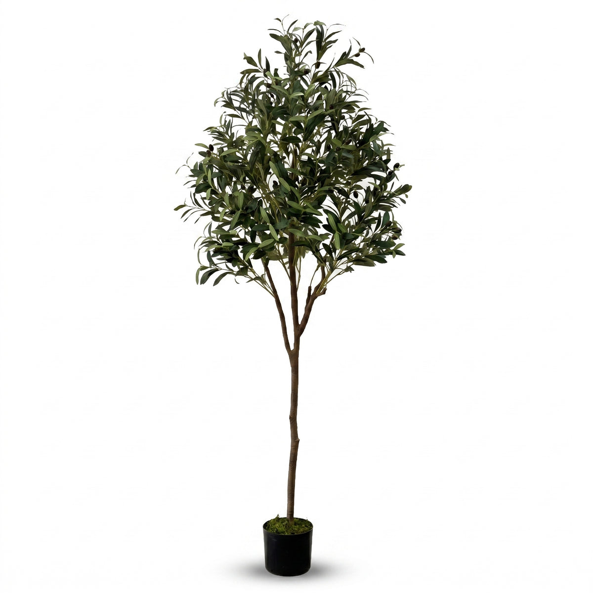 IvoQ Kunst-Olivenbaum 180 cm - Realistische Kunstpflanze mit Topf und Oliven