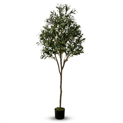 IvoQ Kunst-Olivenbaum 180 cm - Realistische Kunstpflanze mit Topf und Oliven