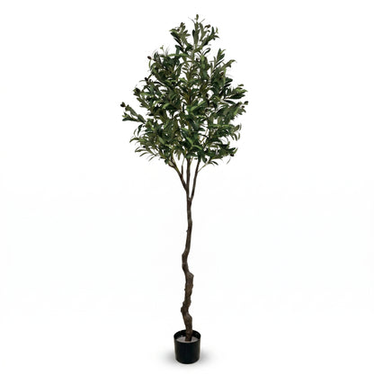 IvoQ Kunst-Olivenbaum 210 cm - Realistische XL-Kunstpflanze mit Oliven