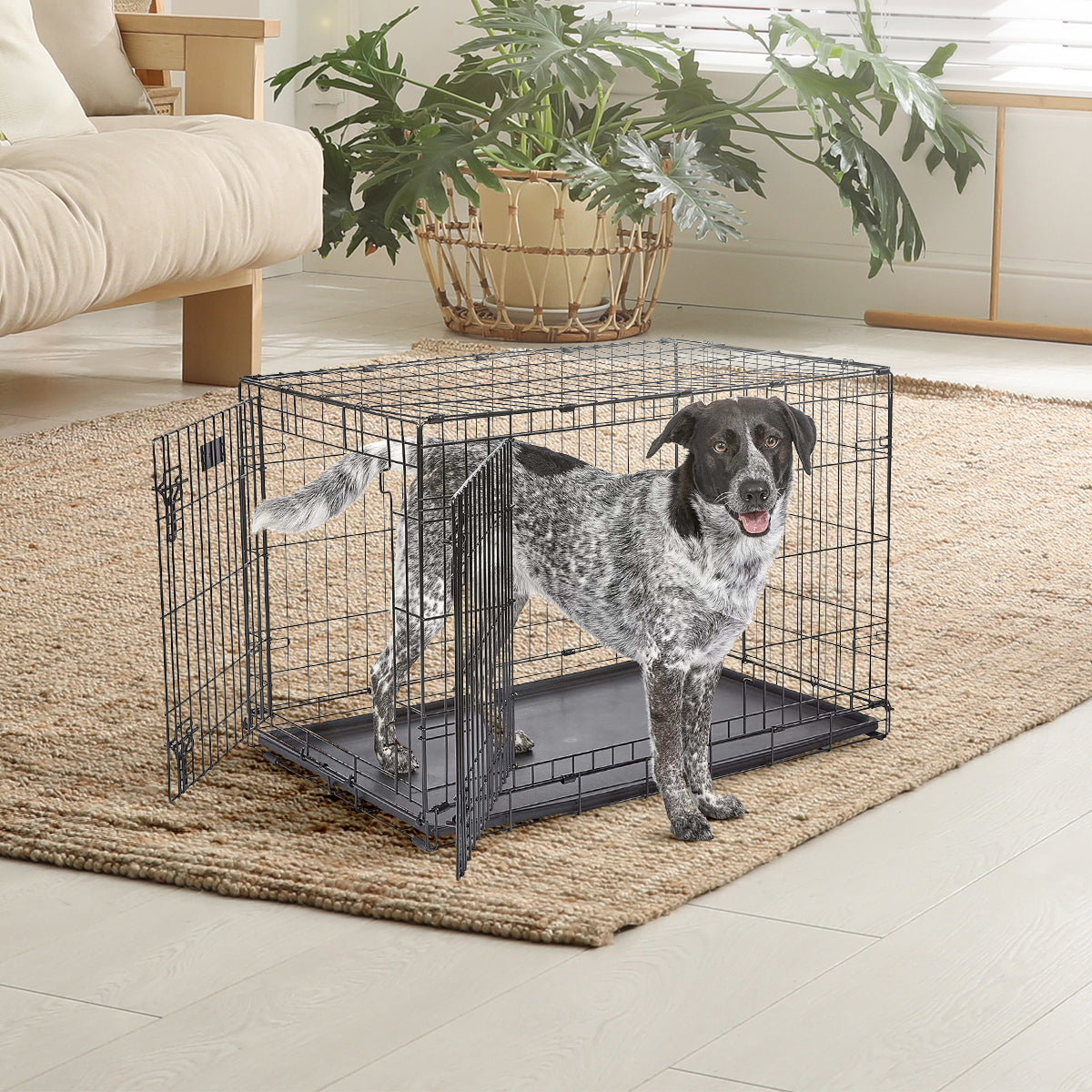 IvoQ Hondenbench M – Zwart – 75.5×47×54.5 cm-IvoQ
