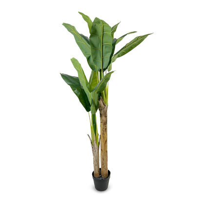 IvoQ Kunst Bananenplant 160 cm-IvoQ