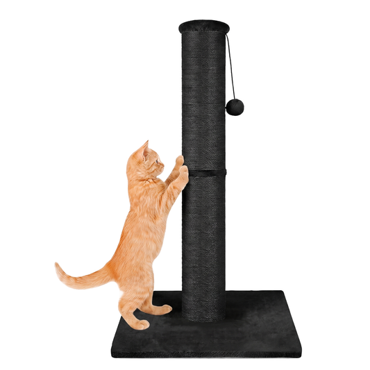 IvoQ Krabpaal voor Katten - 90 cm - Zwart - Stevige Kattenkrabpaal met Speelbal & Sisal - 90x40x40 cm